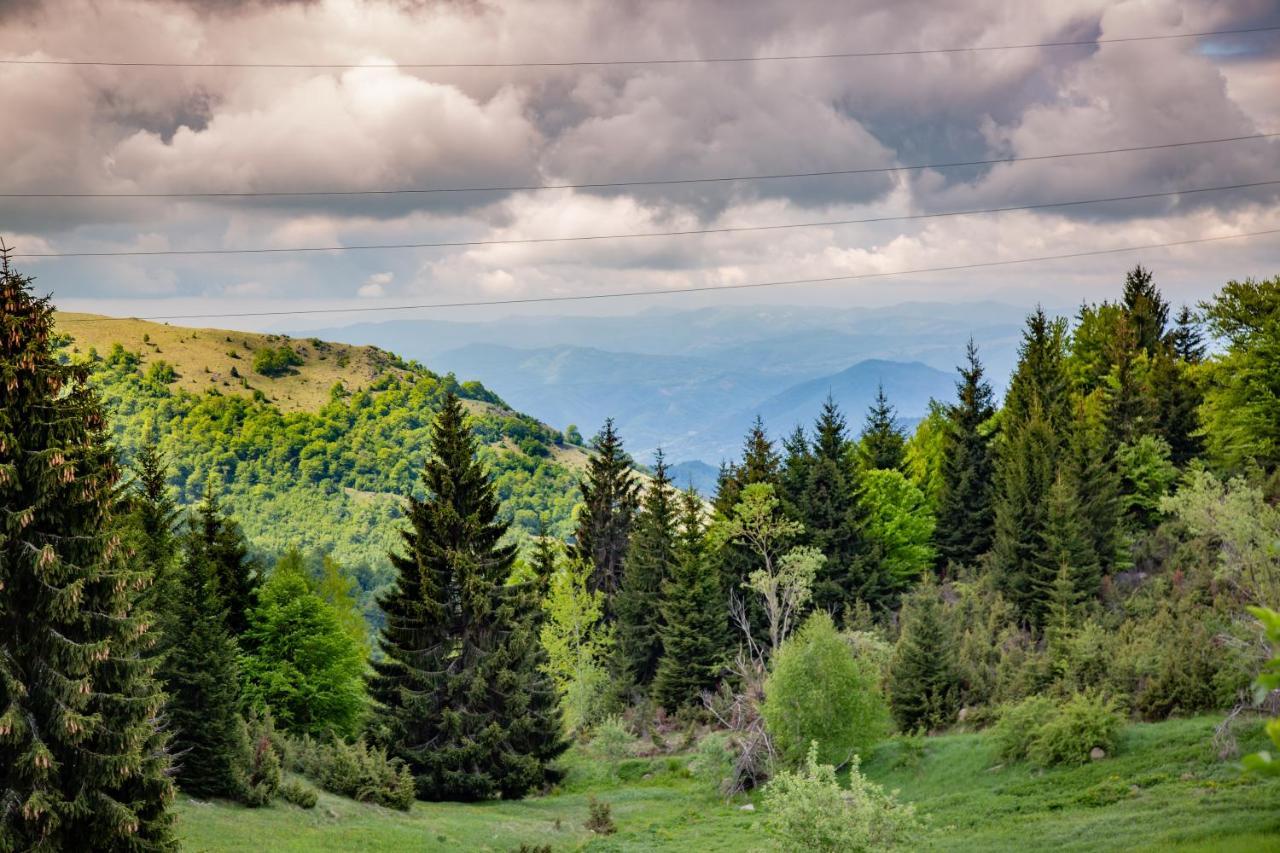 Apartments View Dvori E25 Kopaonik Eksteriør bilde